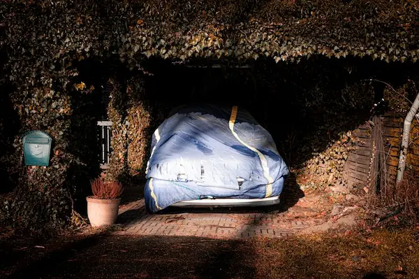 "A car covered with a blue protective tarp, parked inside a garage or carport heavily overgrown with lush green ivy and climbing plants."