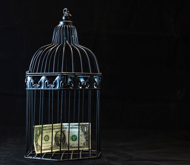 A dollar bill trapped inside a closed black birdcage against a dark background, symbolizing the financial trap of deferred interest.